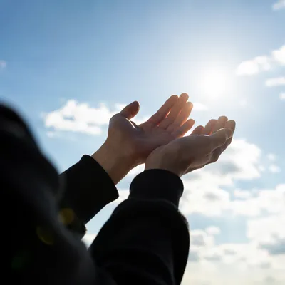 Open Hands Receiving Sunlight in Gratitude