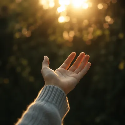 Open Hand Reaching Toward Golden Sunlight