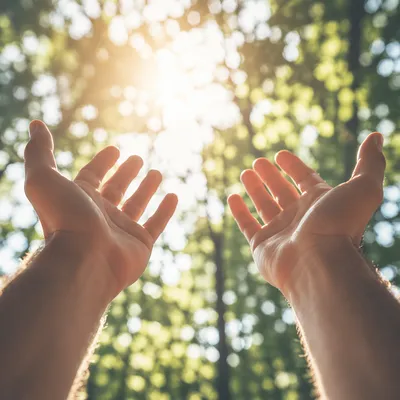 Open Hands Receiving Sunlight in Gratitude