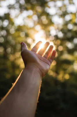 Open Hand Receiving Golden Sunlight