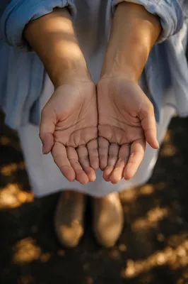 Open Hands Receiving Sunlight in Gratitude
