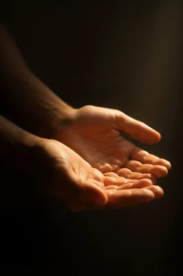Open Hands Receiving Golden Sunlight