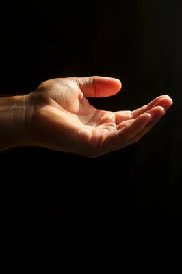 Open Hands Receiving Golden Sunlight