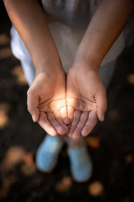 Open Hands Receiving Sunlight in Gratitude
