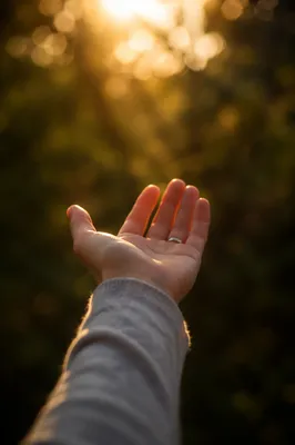 Open Hand Receiving Warm Sunlight