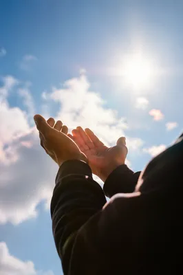 Open Hands Receiving Sunlight in Gratitude