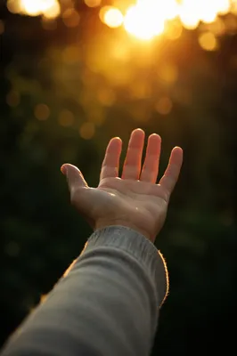 Grateful Open Hand Reaching Toward Sunlight