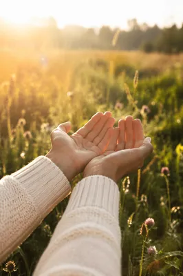 Open Hands Receiving Sunrise Light