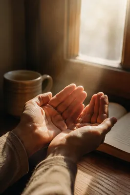 Open Hands Receiving Morning Sunlight