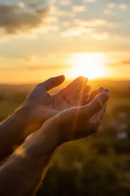 Open Hands Receiving Golden Sunlight