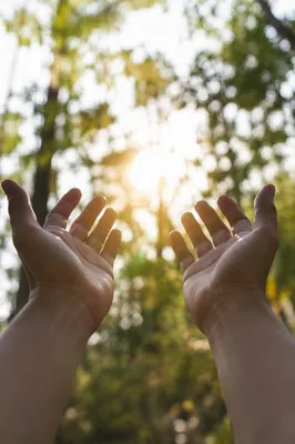 Open Hands Receiving Sunlight in Gratitude