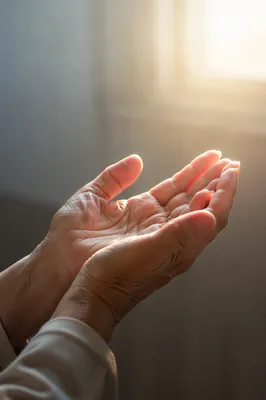 Open Hands Receiving Morning Sunlight