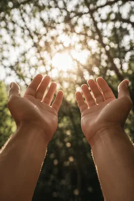Open Hands Receiving Sunlight in Gratitude