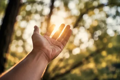 Open Hand Receiving Golden Sunlight