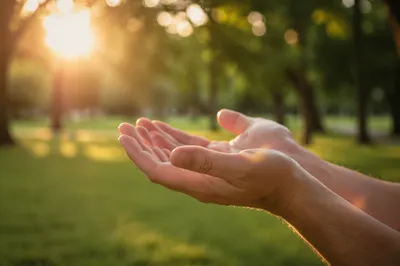Open Hands Receiving Warm Sunlight