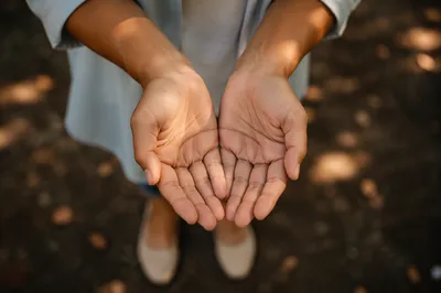 Open Hands Receiving Warm Sunlight