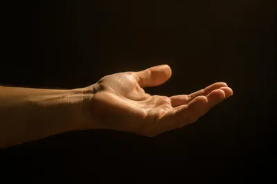 Open Hand Receiving Golden Sunlight