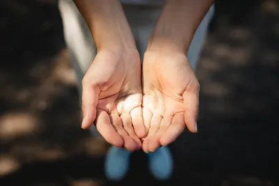 Grateful Open Hands Receiving Sunlight
