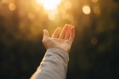 Open Hand Receiving Sunlit Gratitude