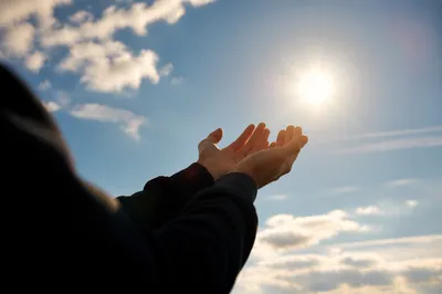 Open Hands Receiving Sunlight in Gratitude