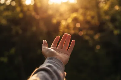 Open Hand Receiving Warm Sunlight