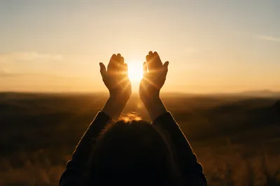 Open Hands Receiving Golden Sunlight in Gratitude