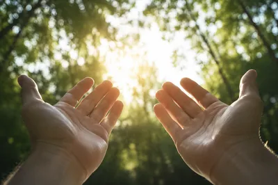 Open Hands Receiving Sunlight in Gratitude
