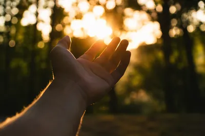 Open Hand Receiving Golden Sunlight