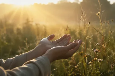 Open Hands Receiving Golden Sunrise Light