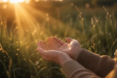 Open Hands Receiving Morning Sunlight