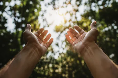 Open Hands Receiving Sunlight in Gratitude