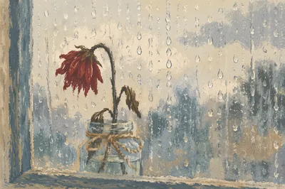 Wilted Red Flower Behind Rainy Glass