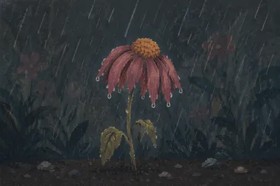 Wilting Flower in Rainy Garden Solitude