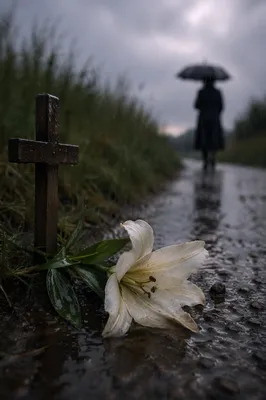 Wilting White Lily Beside Rainy Cross
