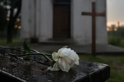 Wilting White Flower in Chapel Rain