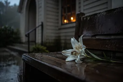 Wilting Lily in Rain by Chapel