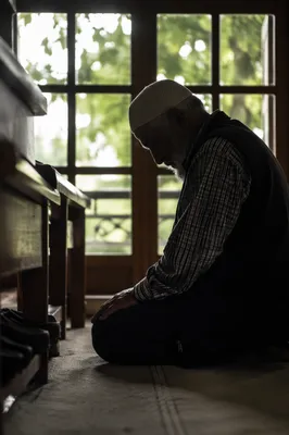 Humble Elder Bowing in Gentle Window Light