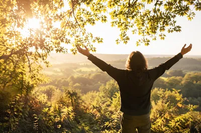 Person in Sunlit Forest Clearing