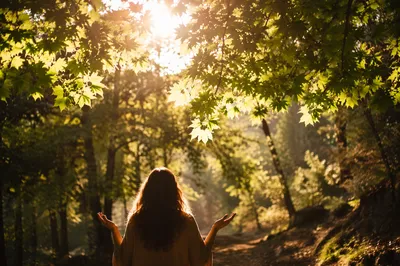 Joyful Sunlight Through Woodland Leaves