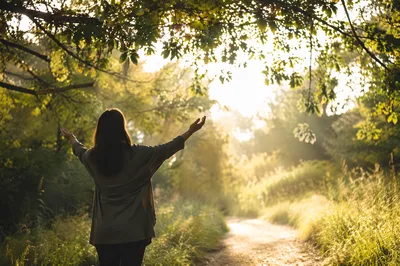 Quiet Joy Beneath Sunlit Woodland Leaves