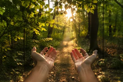 Joyful Hands Beneath Sunlit Woodland Leaves