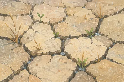 Gentle Rain Brings Mercy to Cracked Soil