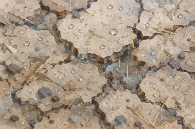 Gentle Rain of Mercy on Cracked Soil