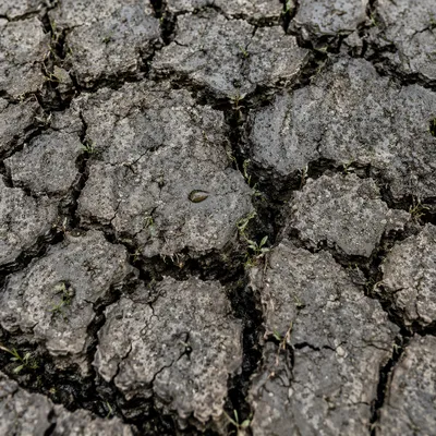 Gentle Rain Bringing Mercy to Cracked Soil