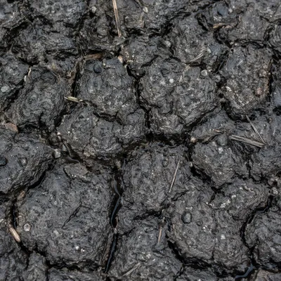 Gentle Rain Bringing Mercy to Cracked Soil