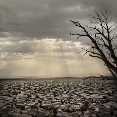 Gentle Rain of Mercy on Cracked Soil