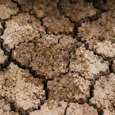 Merciful Rain Over Cracked Soil