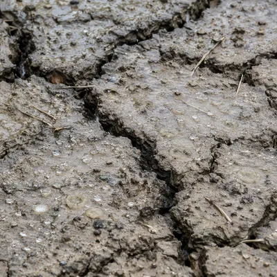 Gentle Rain of Mercy on Cracked Soil