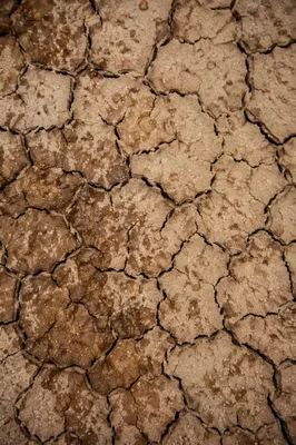 Gentle Rain Softening Cracked Parched Soil