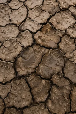 Gentle Mercy Rain on Cracked Soil